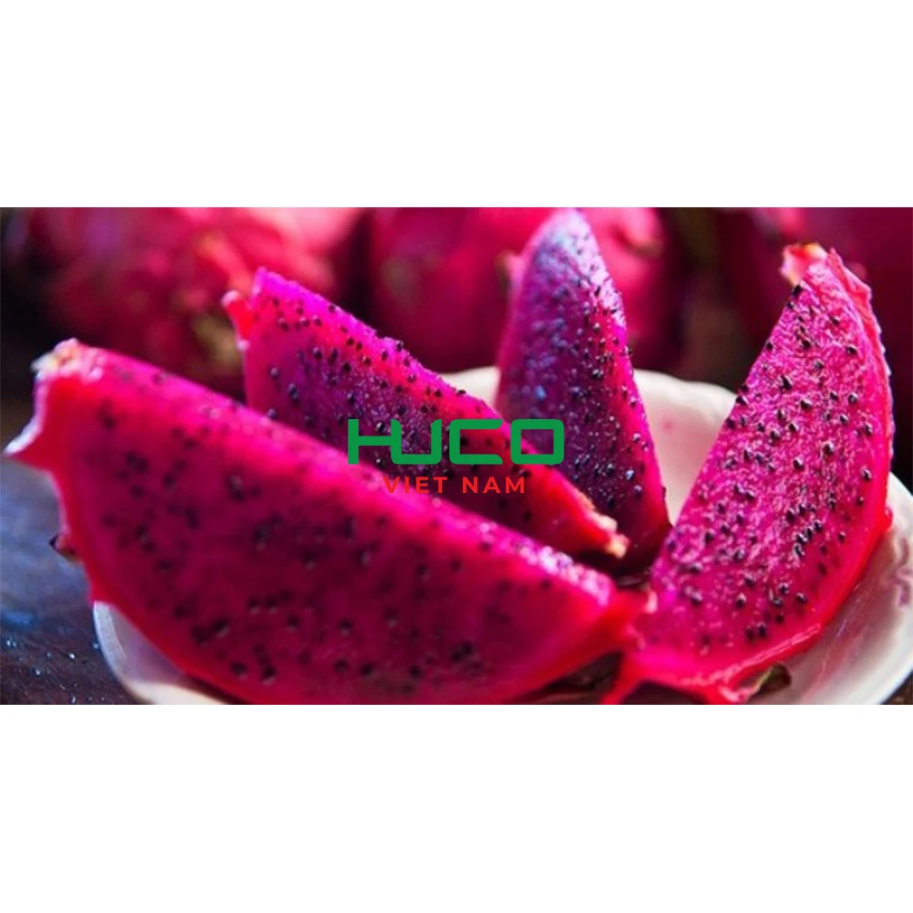 Fresh White Dragon Fruit from Vietnam with Best Price - High Quality for Export