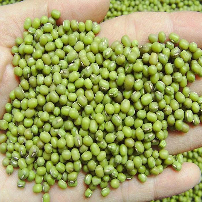 Горячая Распродажа, цена на зеленую фасоль/цельную фасоль Mung оптом