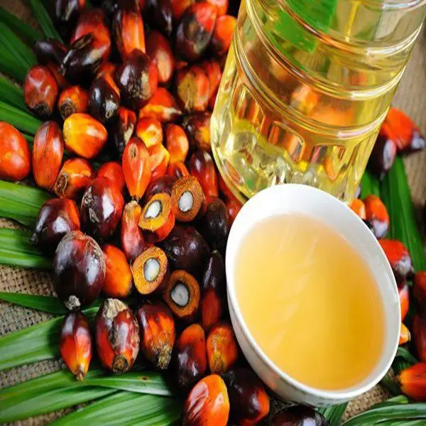 High Quality Refined & Crude Red Palm Oil /Palm Nuts oil/ Refined Palm Vegetable Cooking Oil for Sale
