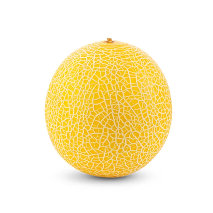 Organic Freshness and High Sweetness Malaysia Manufacture Made in Malaysia Best Premium Golden Lady Melon