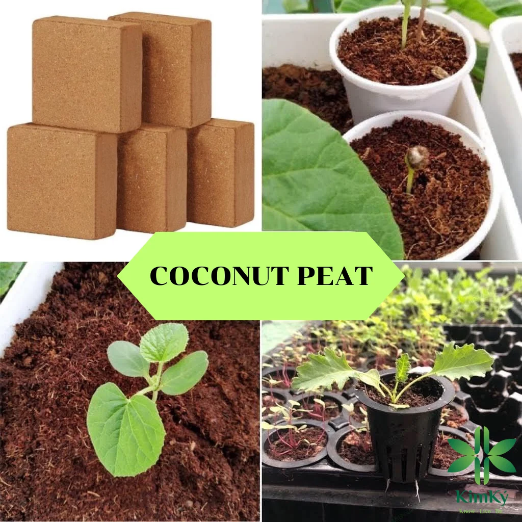 Natural Material Best Quality Coco Item Coconut Peat 4,5Kg Block For Seeding And Growing Plant With Size 29 x 29 x 15cm In 2024