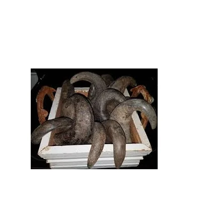 Жевательный рог для собак буйвола Лидер продаж натуральный корм и Рог ручной работы водяной жевать