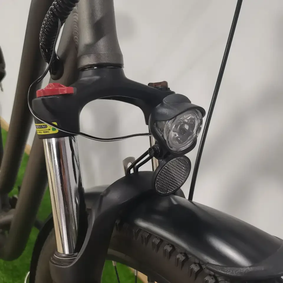 Hot selling 10ah Li-ion Bicycle Electric Mountain E bike