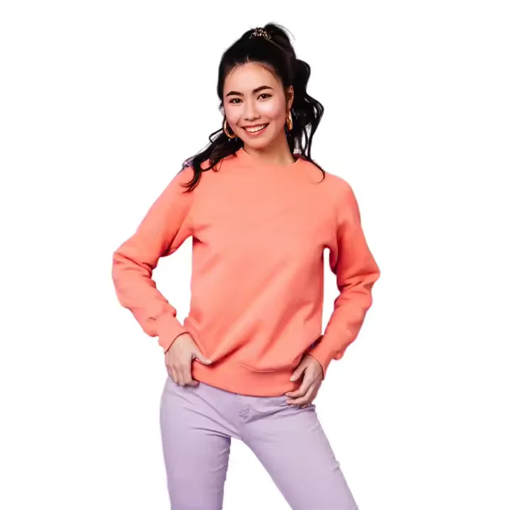 Custom Logo Wholesale Thick Fleece Letter Print Jumper Women Pull Over Jumper Sweater Cotton Sweatshirts