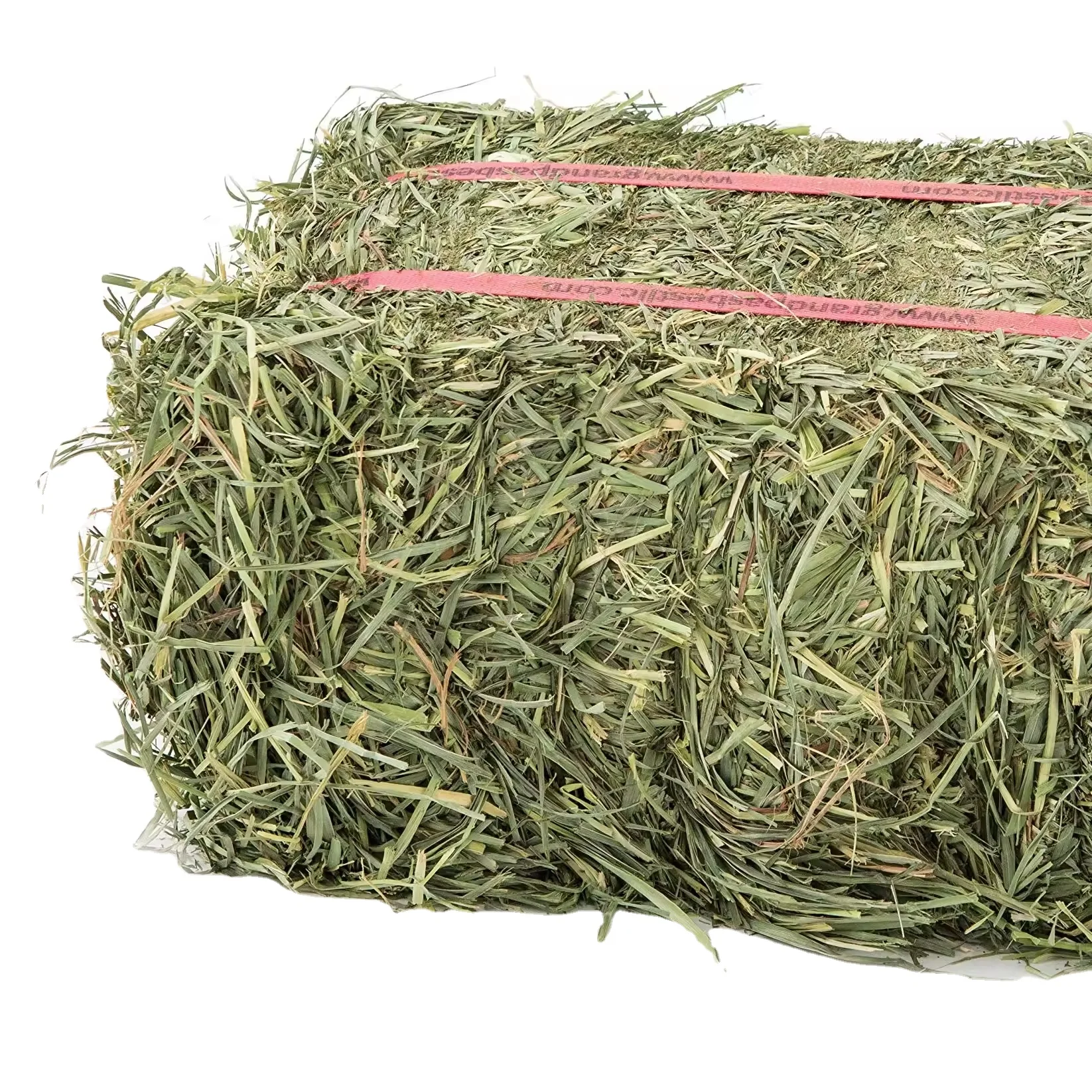 Wholesale fresh alfalfa For Every Animal Species in Bales and Cubes