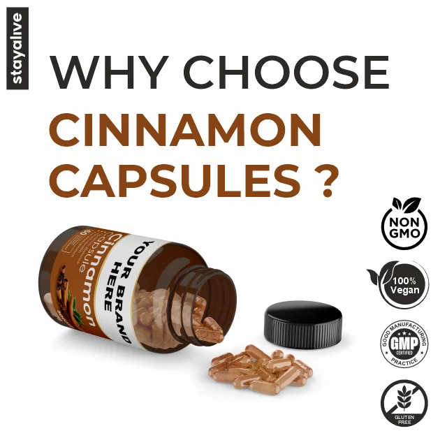 OEM Private Label Service Vegetarian 100% Natural Ceylon Cinnamon Capsules | Non-GMO & Gluten Free Supplement