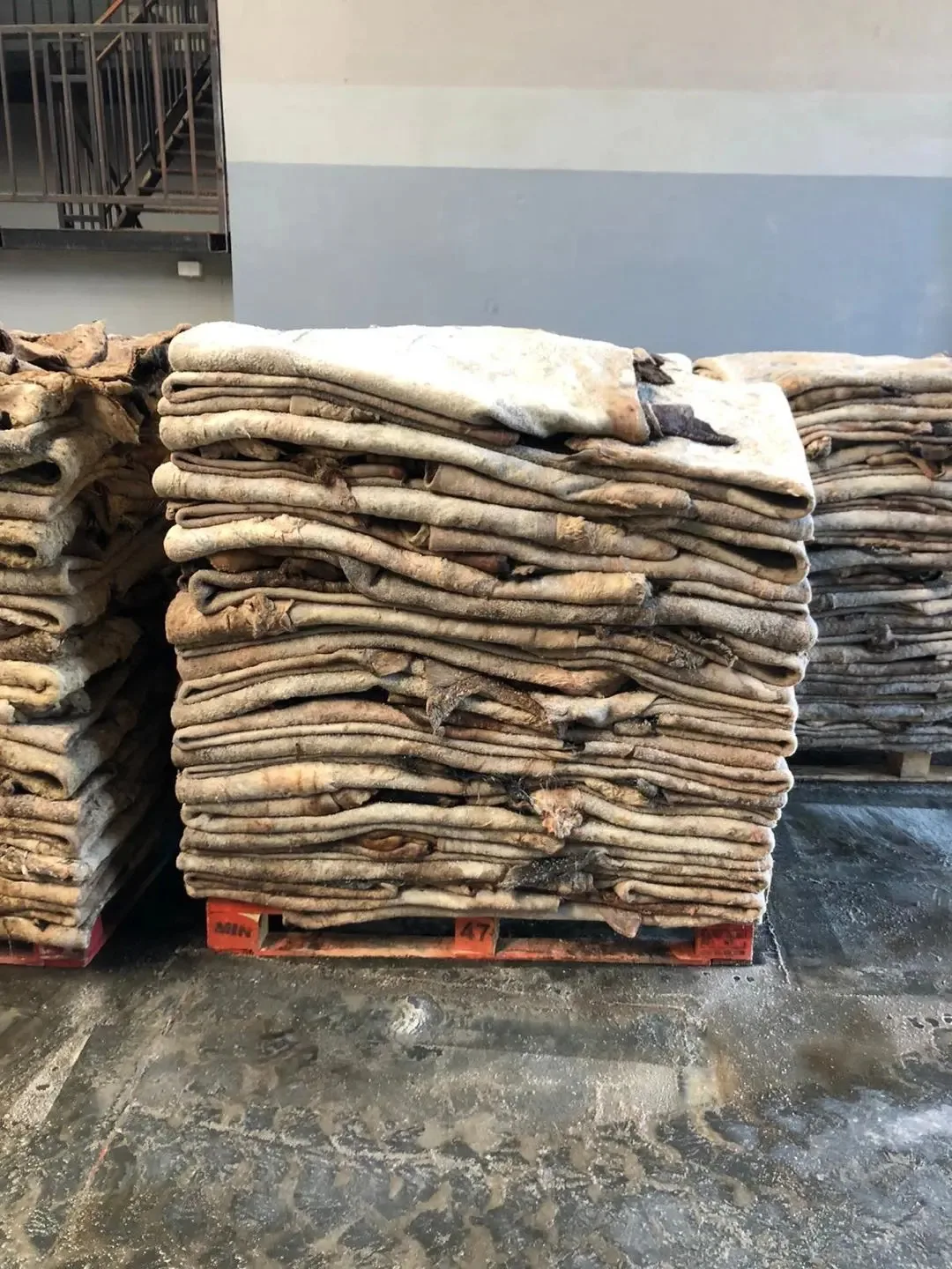 Quality Wet salted cattle hides / hides ,wet salted hides ,wet blue hides ,leather mat,fur plates ,leather and fur