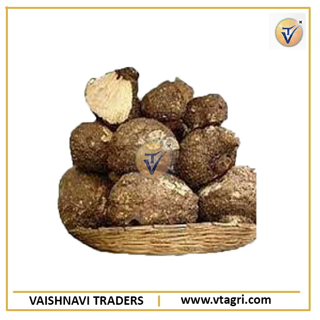 Super Rate Elephant Foot Yam Exporter - Fresh Yam from India - Top Grade Elephant foot yam