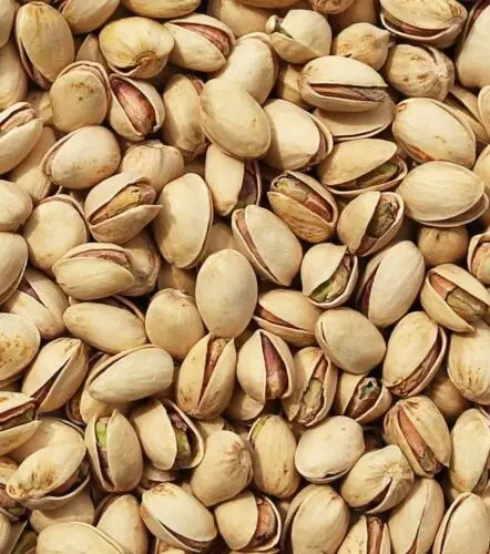 Pistachio Nuts Pistachios Kernel Pistachino Nuts Pistol Organic Raw Pistach