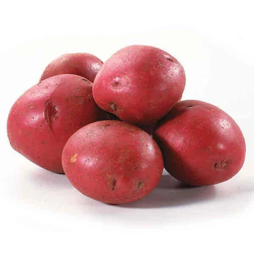 Hot Sale Low Price Sale Mesh Potato Packaging And Export Fresh Potatoes