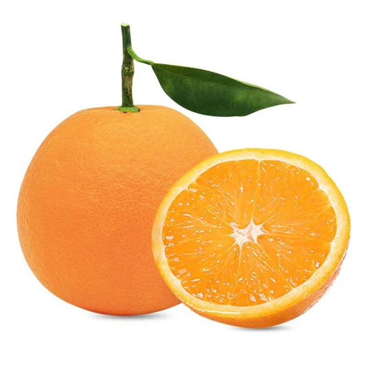 High Quality Sweet Sugar  Fresh Bulk Mandarin Oranges Bingtangcheng
