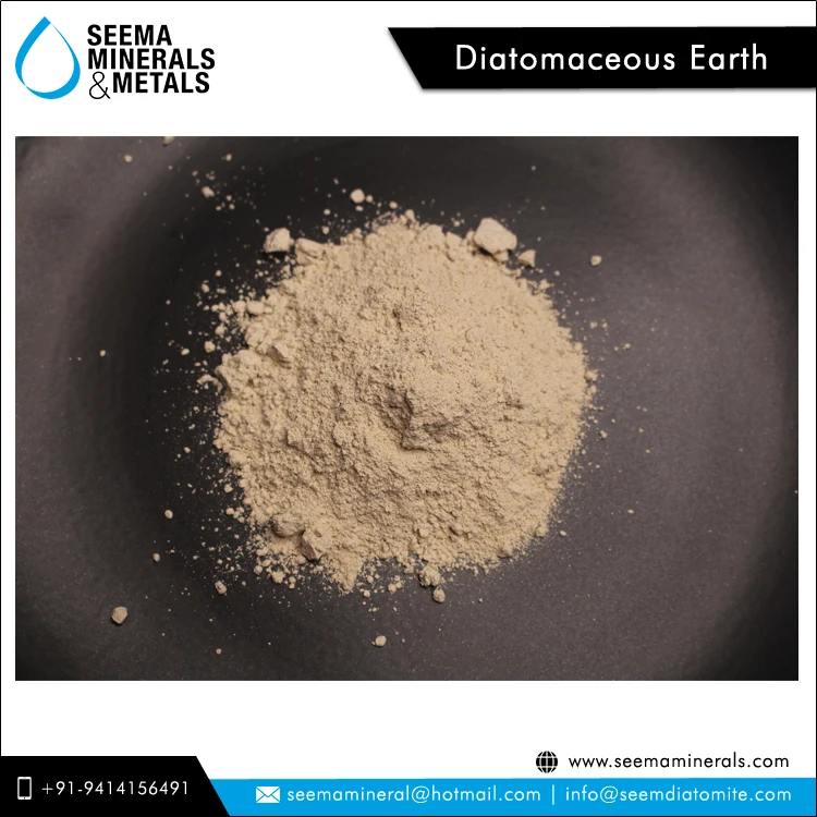 2022 Most Selling 100% Natural Diatomaceous Earth Kieselguhr Powder for Manufacturing Match Sticks at Least Price
