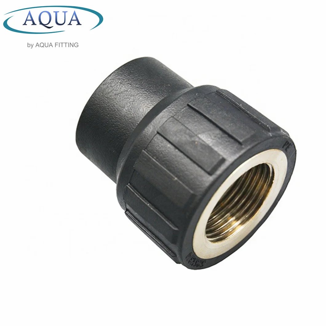 External Thread HDPE Pipe Fittings PE Female Threaded Coupling