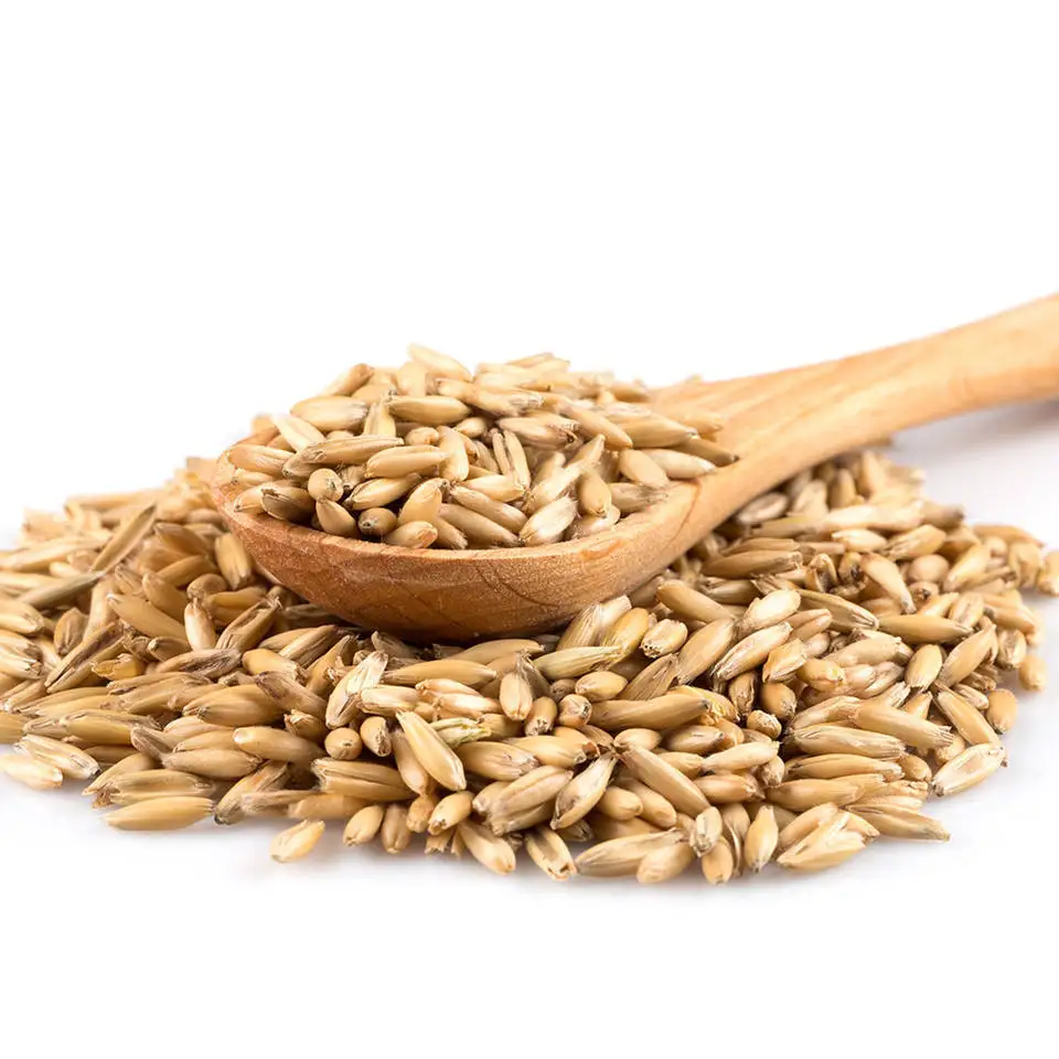 Organic Oats Seeds for sale, Wholesale Rolled Oats,Oat Kernels for sale