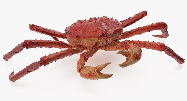 Top quality Frozen Fresh Red King Crabs and King Crab