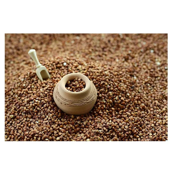 Best Quality Roasted Buckwheat For Sale In Cheap Price Wholesale Roasted Buckwheat