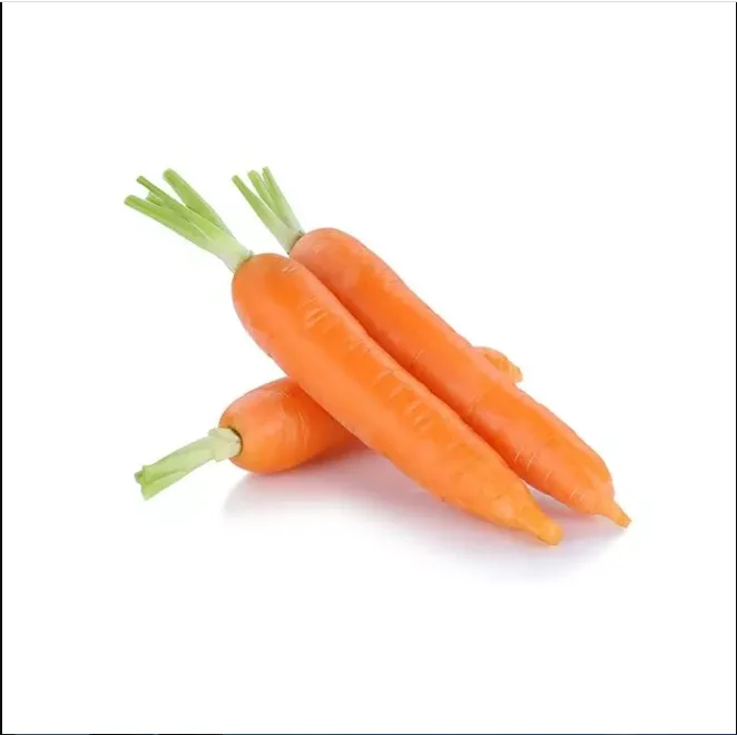 chinese fresh carrot S M L 2L 3L Shandong new crop Qingdao port
