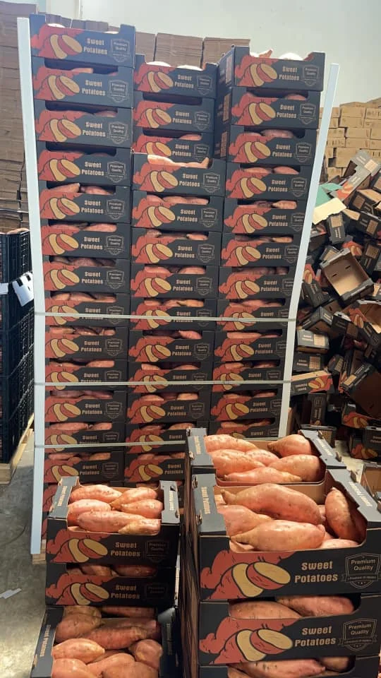 Свежий сладкий картофель из египта