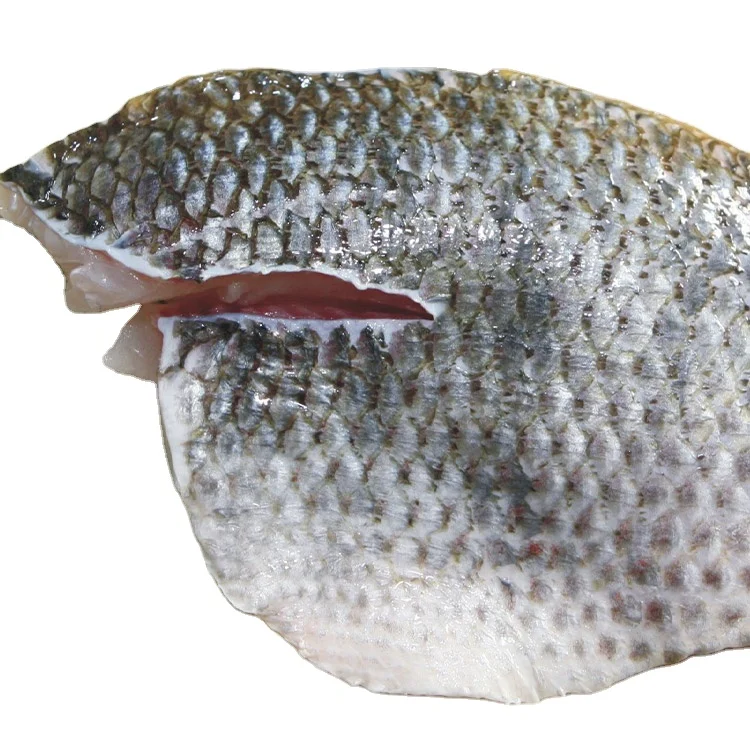 High Quality Salmon Fish Frozen Fillet Fresh And Frozen Atlantic Salmon Fish Whole Frozen Salmon Head For Sale