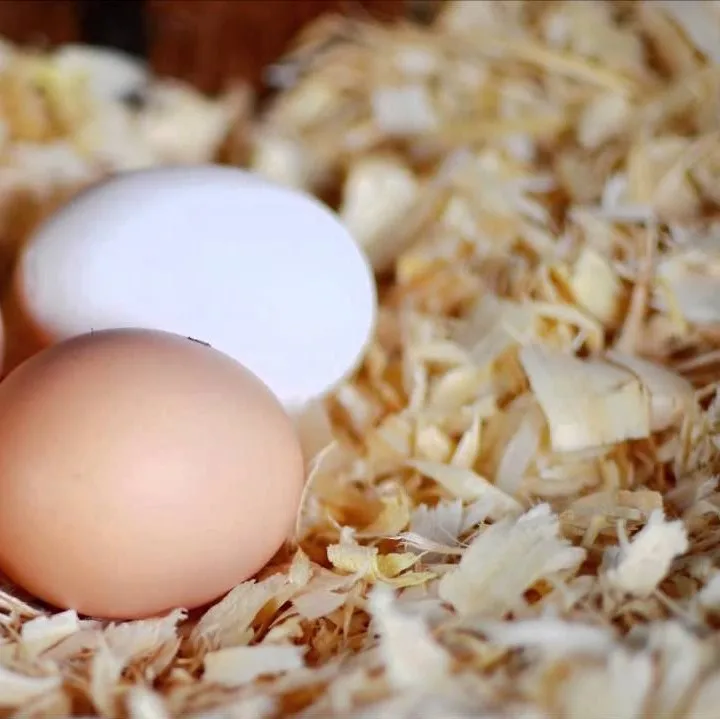 Лучшая цена на древесную стружку с низким содержанием влаги натуральные сосны и акации сельскохозяйственные отходы для домашней птицы подстилки животных