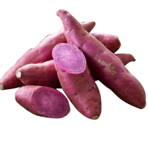 {HOT - SALE} - Fresh Sweet Patato/ High quality cheap fresh organic purple sweet potato in Vietnam market