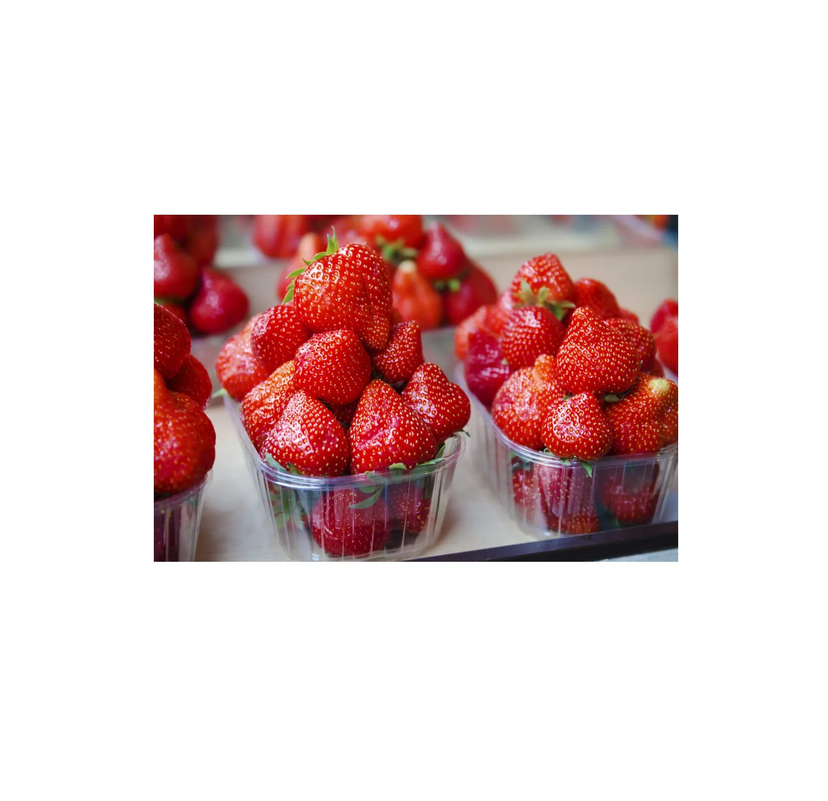 Hot selling Strawberries in cheap price