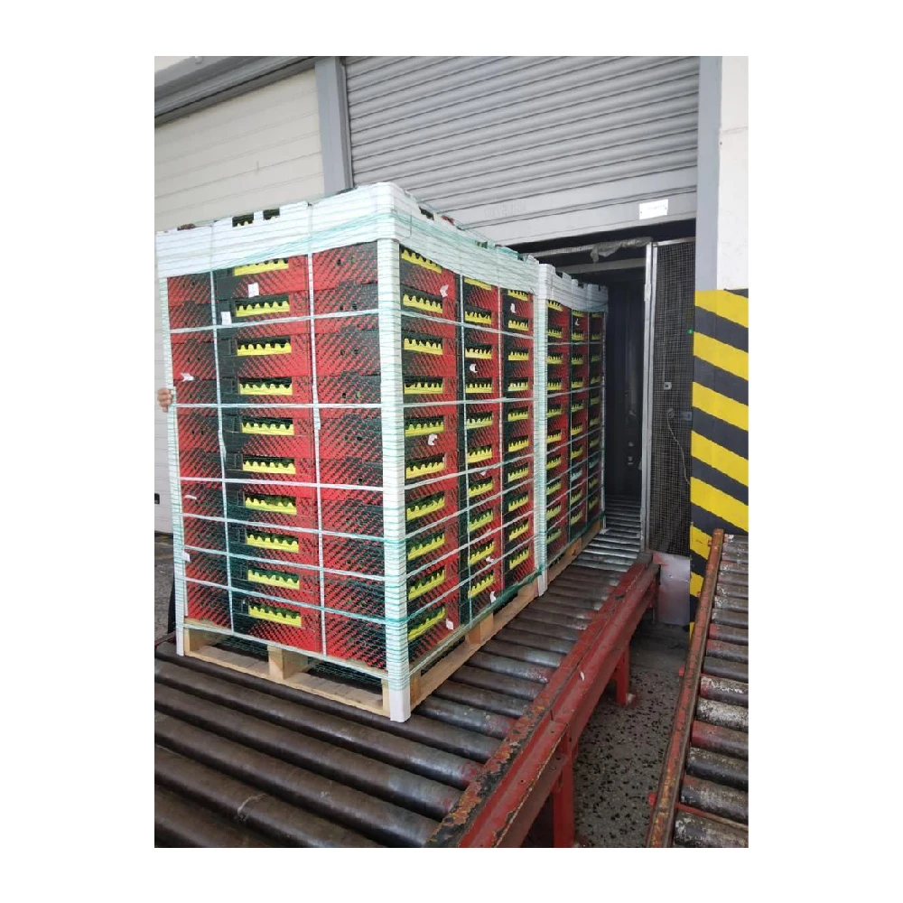 Wholesale Turkey Origin Fresh and Delicious Green Plums Plum Green Plum Fruit Vegetable Food High Quality