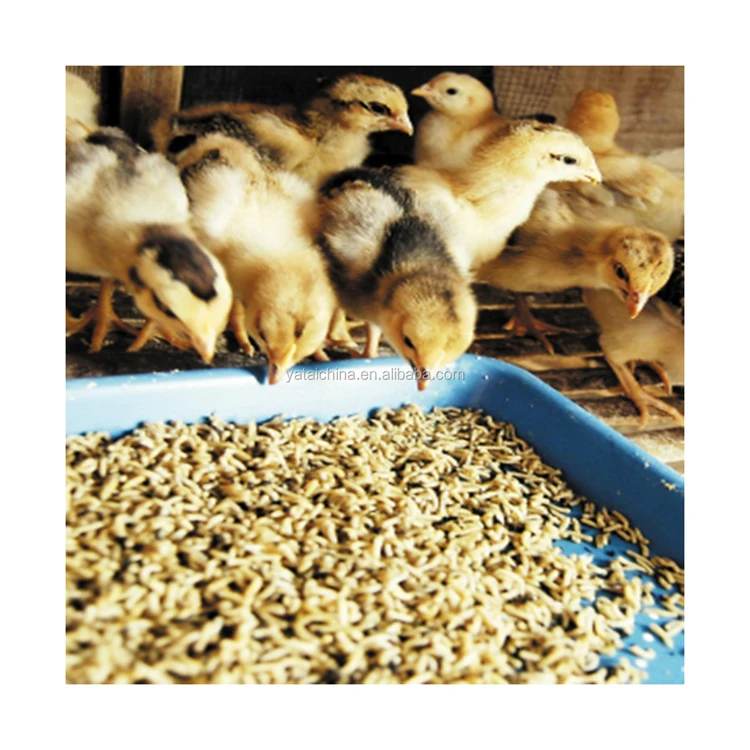 hot sale products High Purity l-lysine hcl 98.5% lysine feed grade lysine Broiler poultry feed
