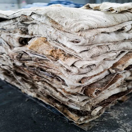 Hot Selling Price Of Raw Wet Salted and Dried Cow Leather / Hides / Skins In Bulk Quantity
