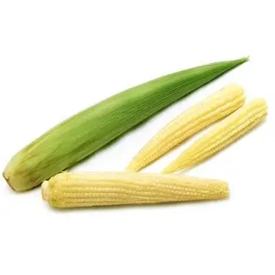 High Quality IQF Baby Sweet Corn Young Corn Cut Frozen Baby Corn Whole