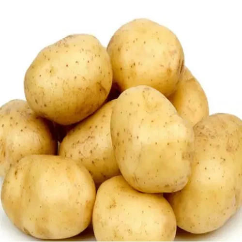 New crop of fresh potatoes for Export to the world high quality sweet potato low price top grade products