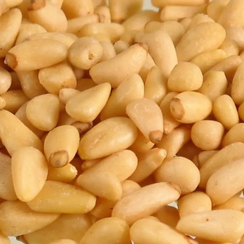discount sale Pakistani Cedar Nuts / Pine Nuts ready