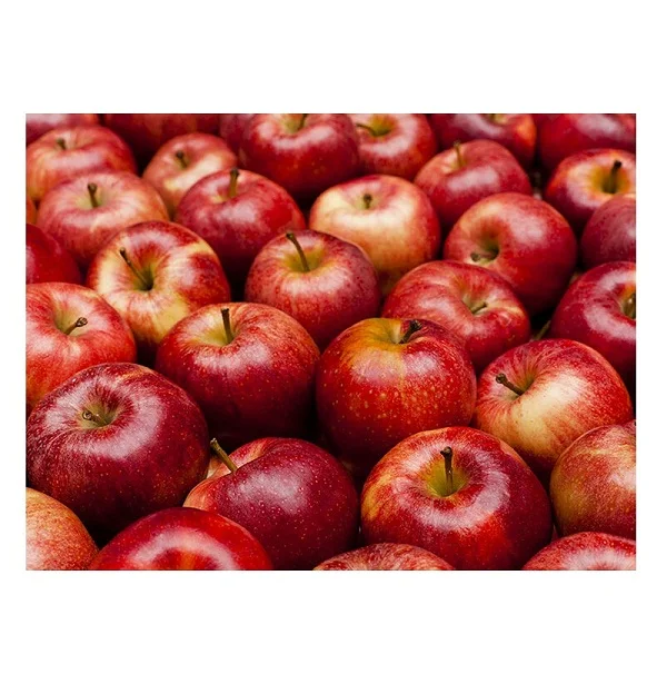 Natural non-GMO wholesale high grade fresh season fruits from Brazil fresh sweet red apples for food