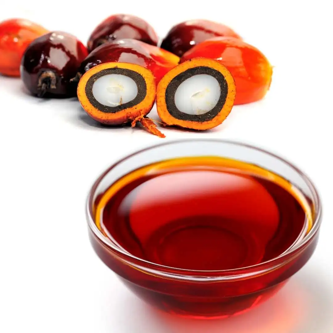 Buy Wholesale REFINED PALM OIL Red Palm Oil Crude Palm Oil For Sale