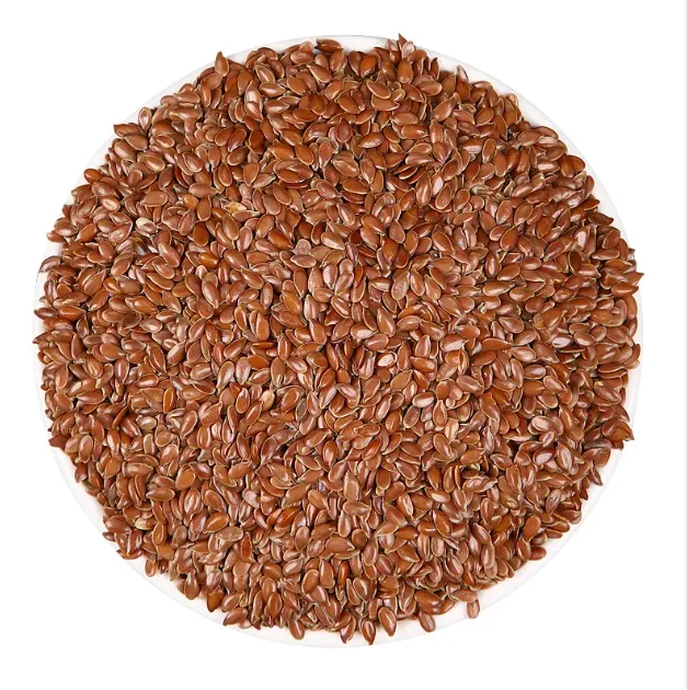 Factory Best Price Superior Quality Bulk Flax Seeds/ Flax Seeds Golden (Linseeds) from Reputed Manufacturer