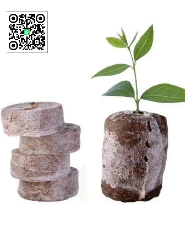 Coco Seed Pellets/ Coco Coir Peat Pellets Cheap Price And High Quality Material From Eco2o Vietnam