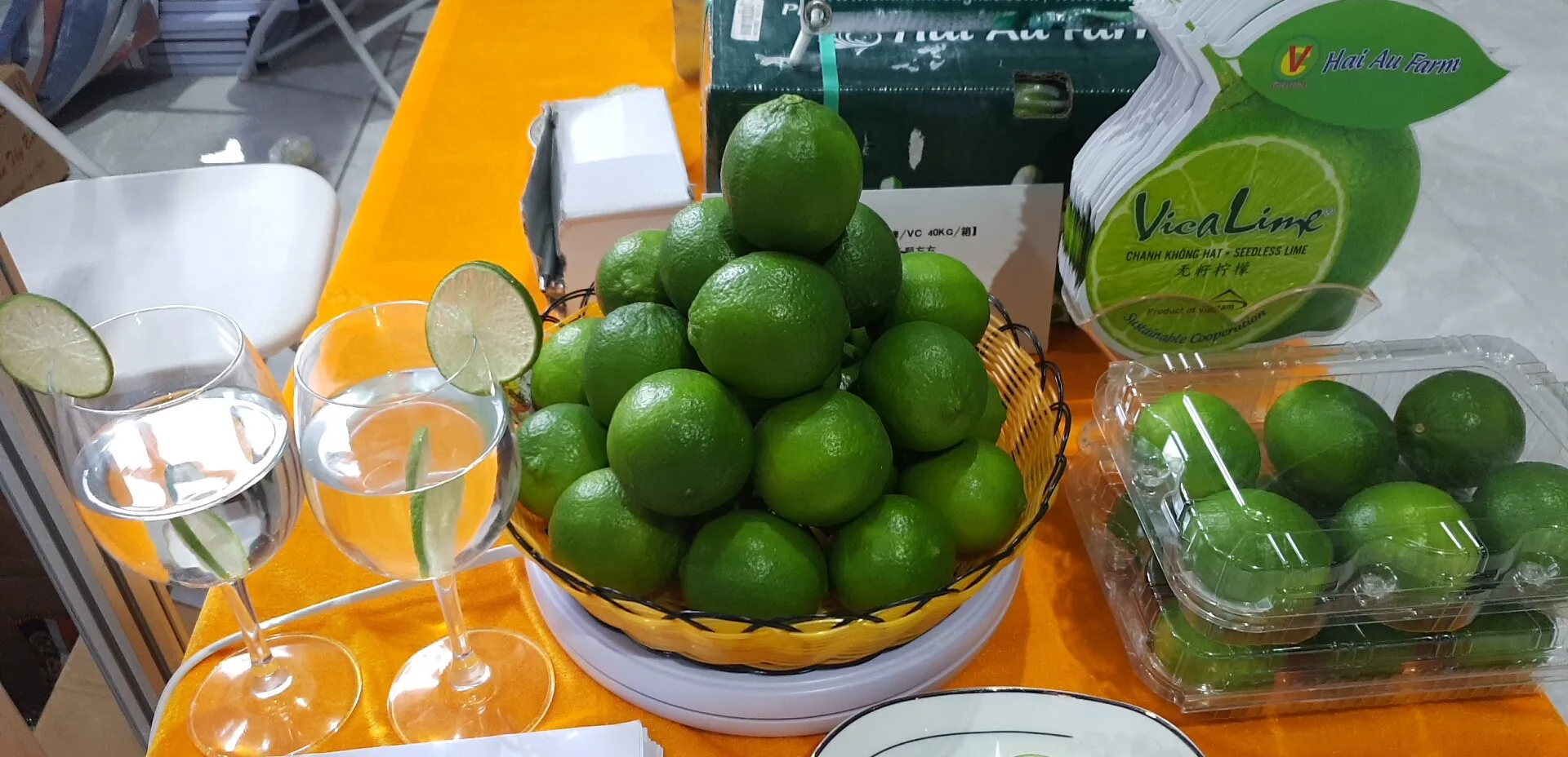 Export Lemon without seeds/ seedless lime competitive price for exporting 2022 made in Vietnam