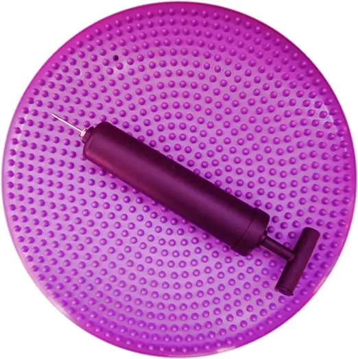 Exercise Balance Stability Disc with Hand Pump