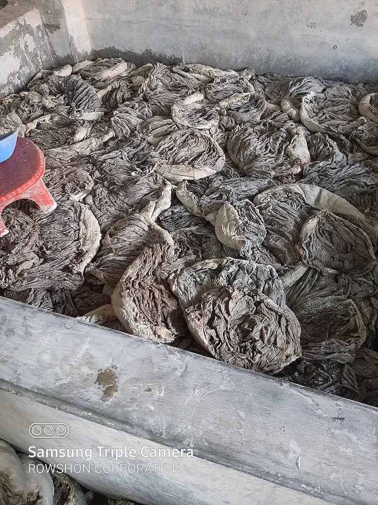SALTED BEEF OMASUM HIGH QUALITY SALTED DRIED BEEF OMASUM S GRADE NO BURN PRODUCT ORIGIN FROM BANGLADESH