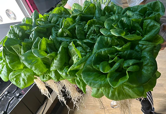 Indoor Aeroponics Systems Vertical Grow Tower Nft Channel Microgreen Growing System Hydroponics System Kit