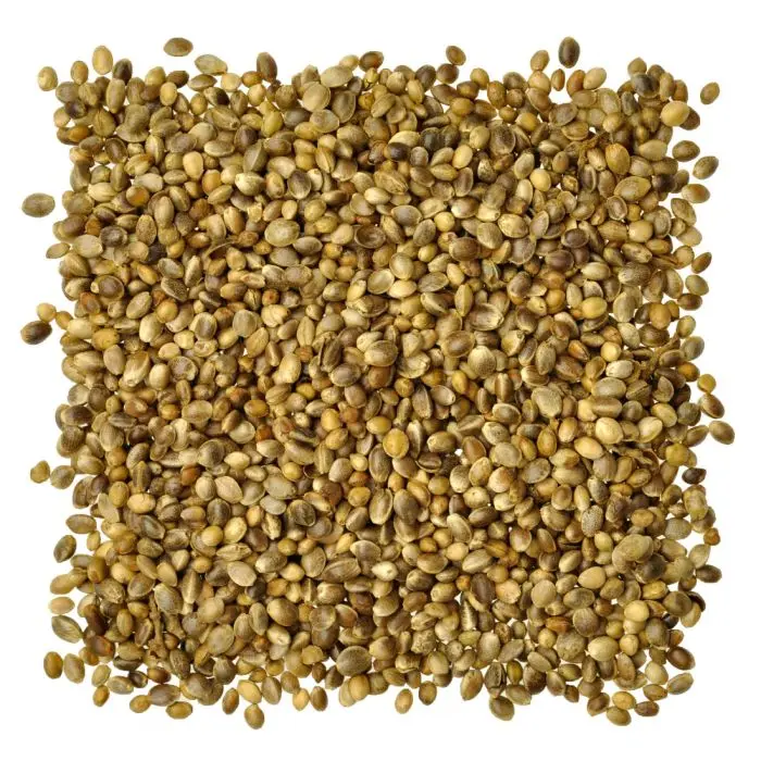 hot sale Buy Organic Hemp Seeds Premium Hemp Seed For Sale Online in High Feminized Hemp Seeds Bulk Wholesale Price best price