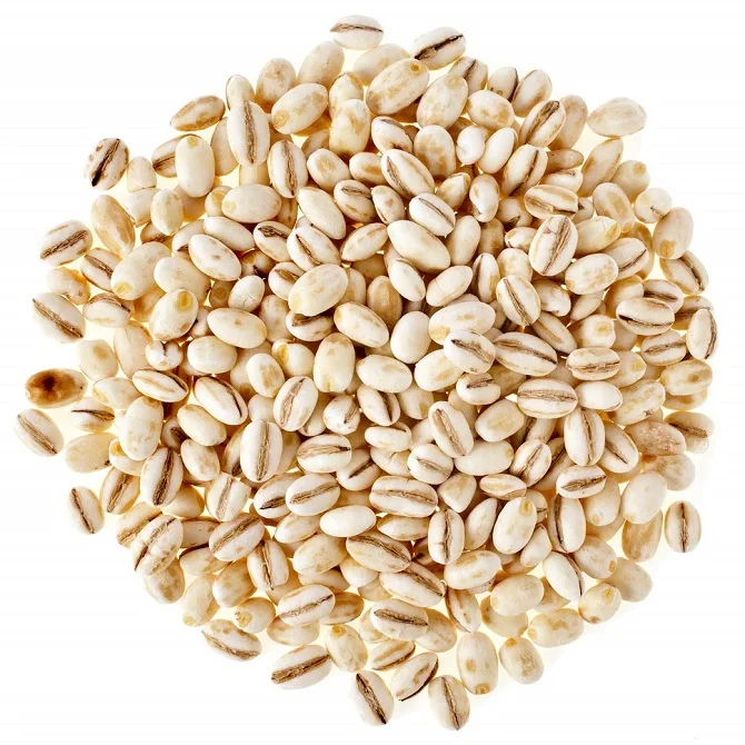 2-Row Pale Malted Barley for Sale | Buy barley in bulk - Export Food Grain