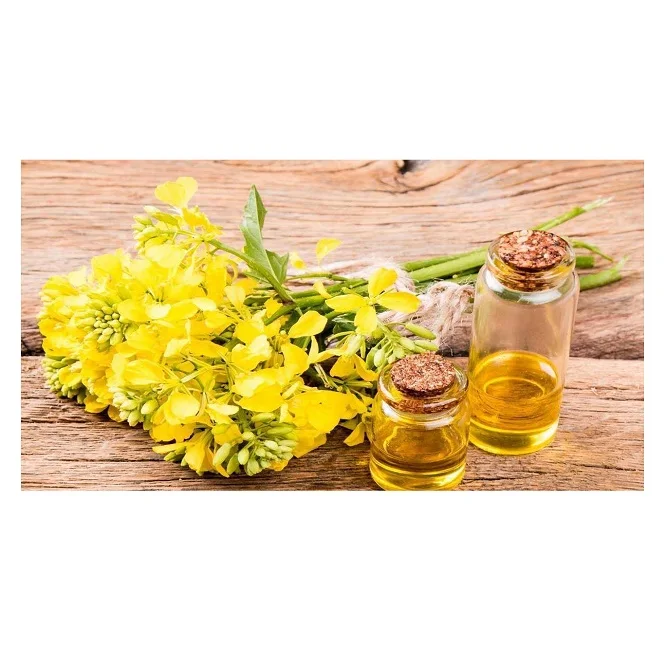 High Quality Refined Canola / Rapeseed Oil For Cooking Available For Sale At Low Price