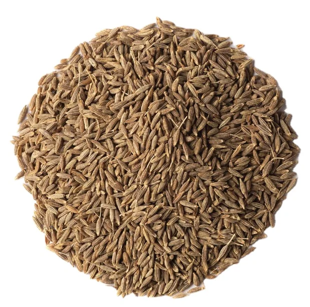 High Quality Nature Cumin Seeds Single Spices Seasoning fennel seed and cumin seeds Pure Organic Agrowell Turkish Goods