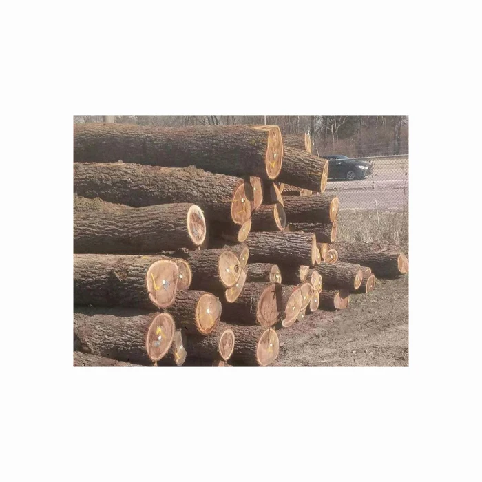 Top Grade Square Logs Black Walnut Maple Luan Ayous Wood Quality Sawn Plywood Excellent Timber Ash Type Competitive Prices
