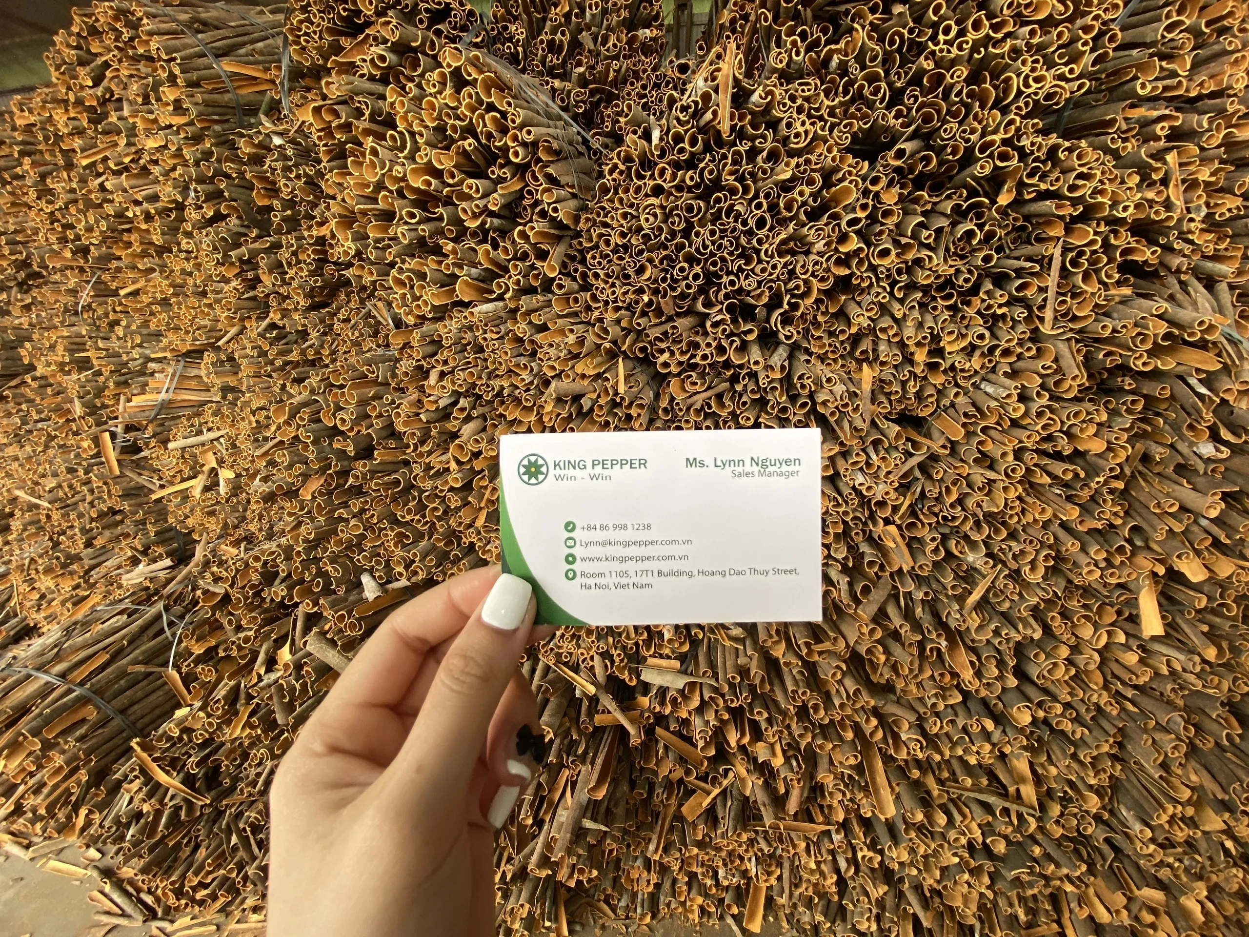 FOOD GRADE CINNAMON STICK CASSIA 8-10 CM PREMIUM QUALITY | Ms Lynn 0084 333 421 999