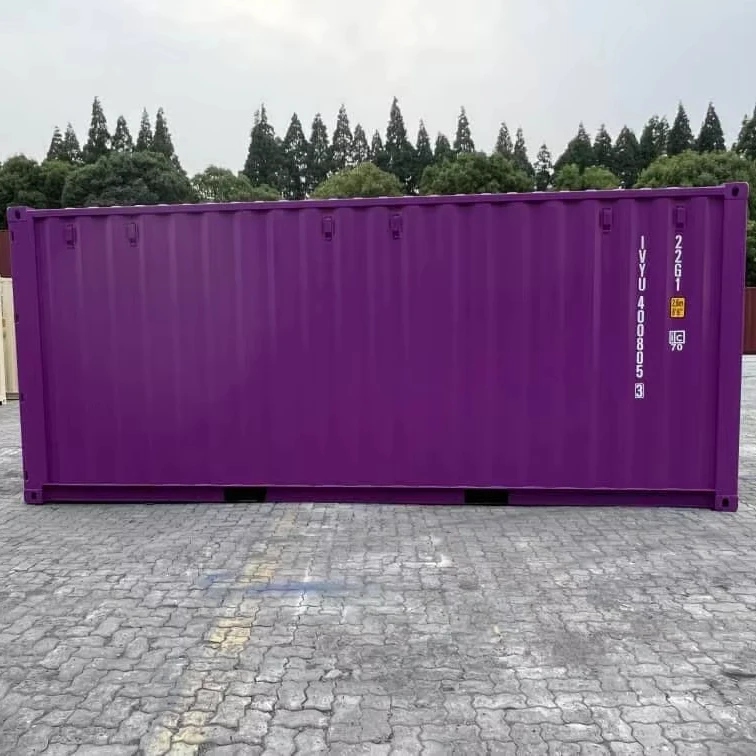 Новый 20ft CSC Сертификация сухих грузов транспортировочный контейнер для доставки