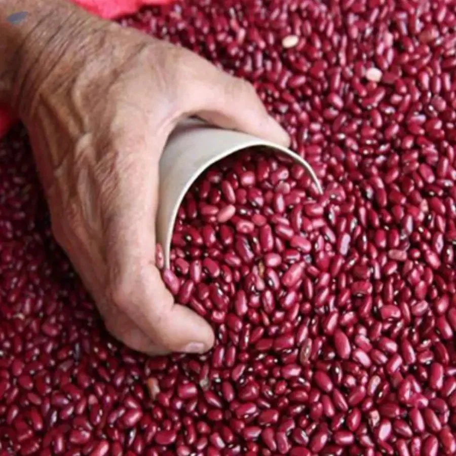 Red Kidney Beans, Round Red Kidney Beans, Best Red Speckled Beans Wholesale Dried Dark Red Kidney Bean For Sale
