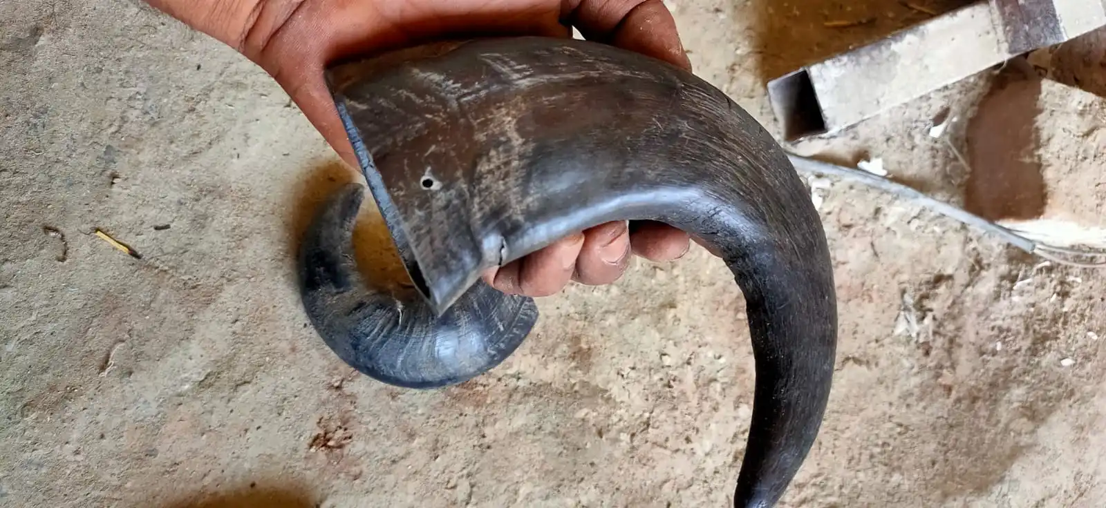 Indian viking natural Buffalo Horn solid  Tips available in bulk in India by crafts galore agate