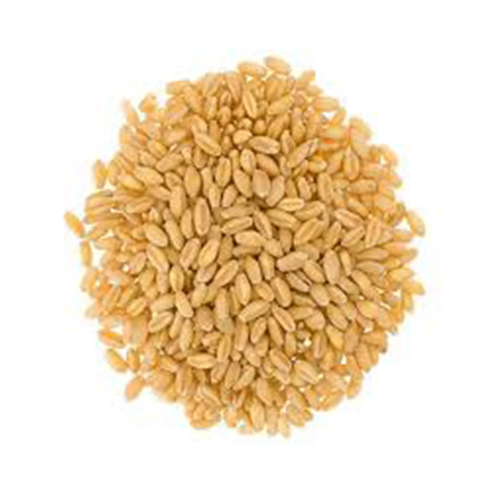 Вкусный вкус, высококачественные мягкие и твердые зерна пшеницы от малайзийского продавца